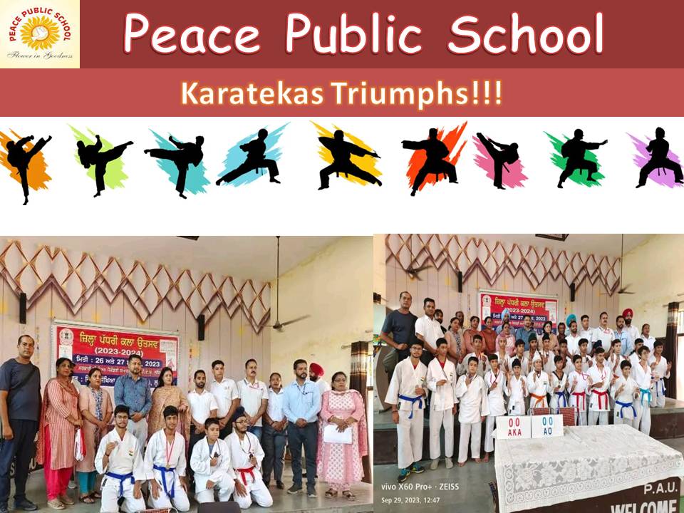 Karatekas Triumphs