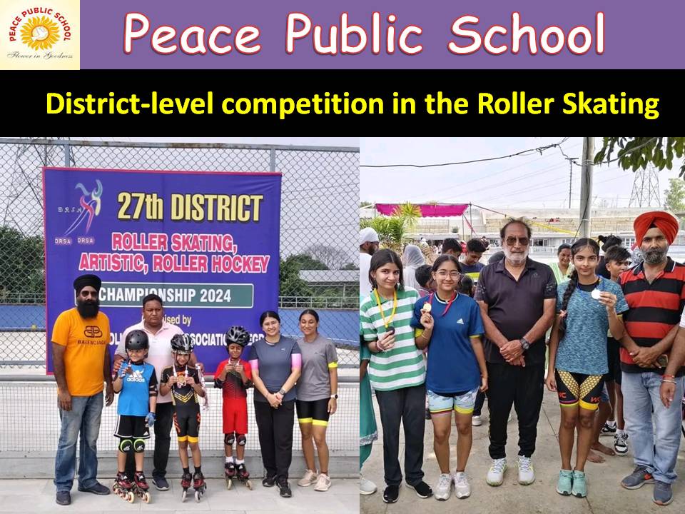 District-level competition in the Roller Skating