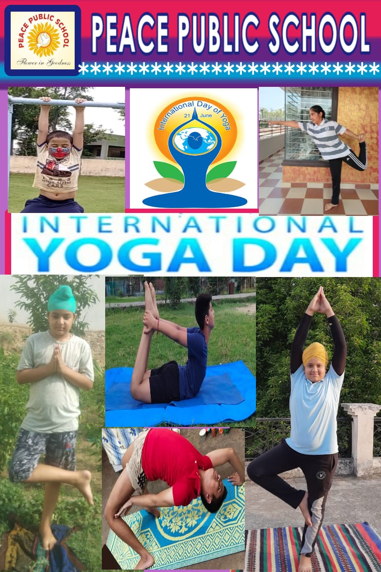 International Yoga Day Celebration